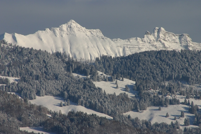 Vignes neige Chardonne - 061